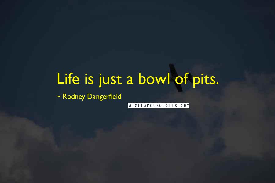 Rodney Dangerfield Quotes: Life is just a bowl of pits.