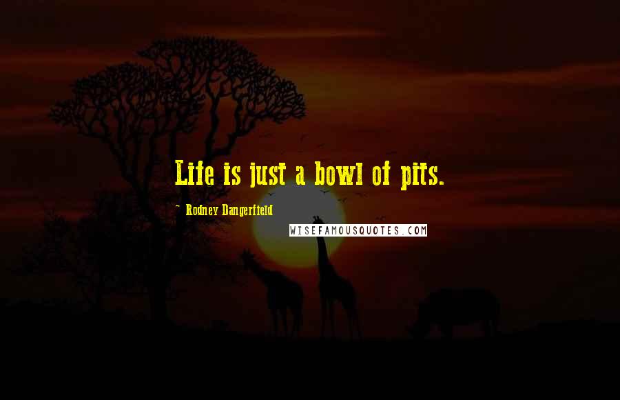Rodney Dangerfield Quotes: Life is just a bowl of pits.