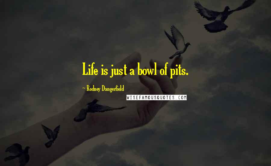 Rodney Dangerfield Quotes: Life is just a bowl of pits.