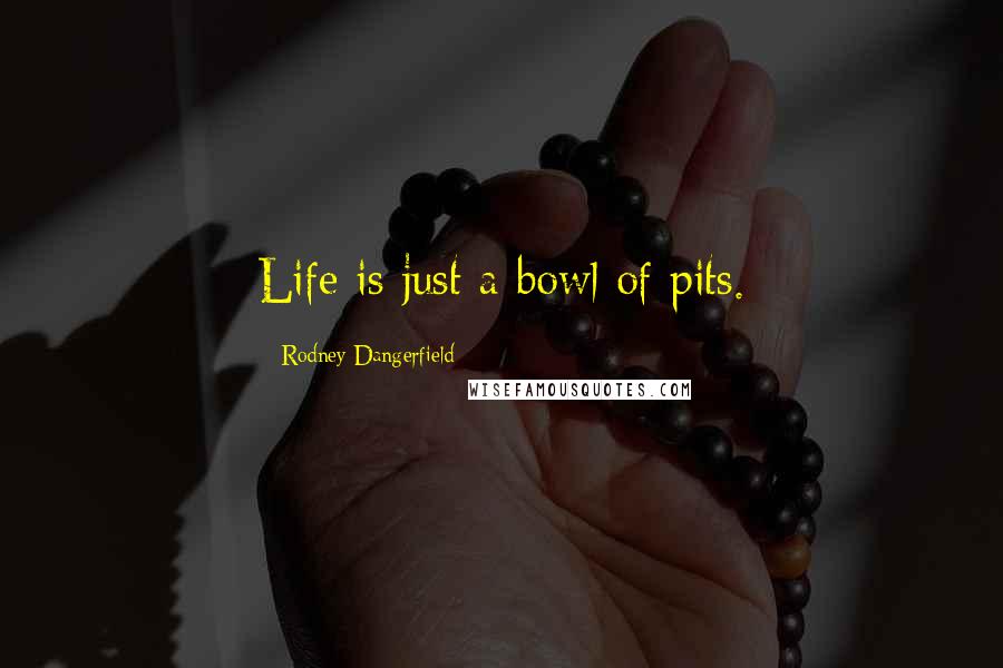 Rodney Dangerfield Quotes: Life is just a bowl of pits.