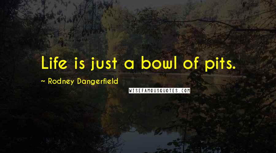 Rodney Dangerfield Quotes: Life is just a bowl of pits.