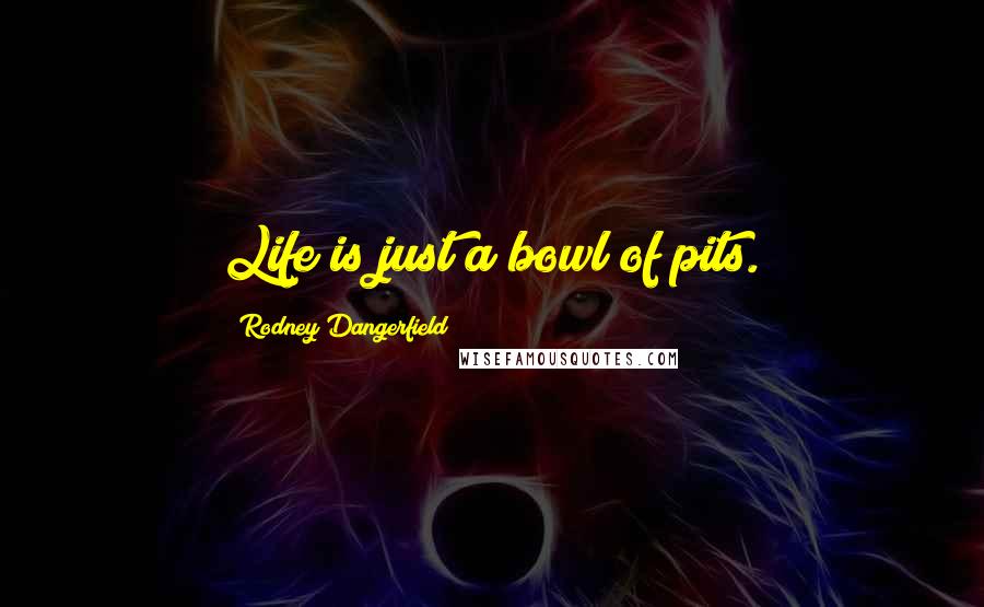 Rodney Dangerfield Quotes: Life is just a bowl of pits.