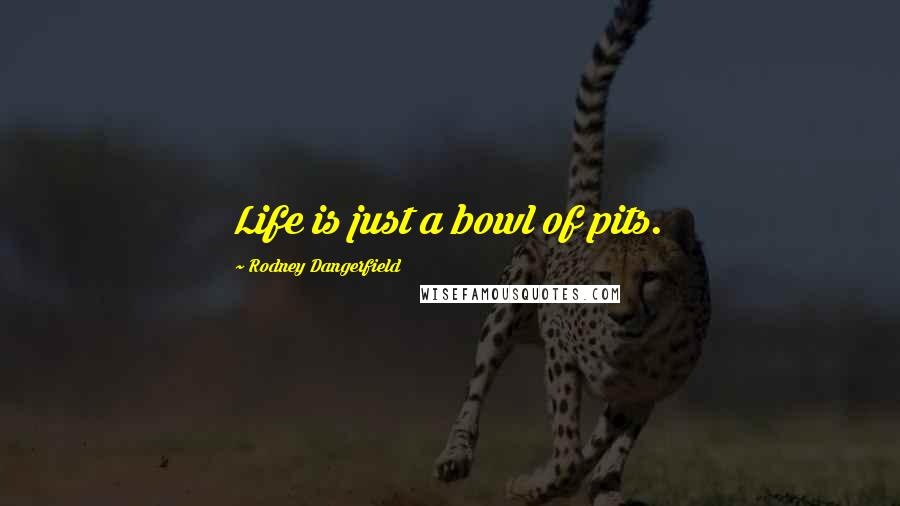 Rodney Dangerfield Quotes: Life is just a bowl of pits.