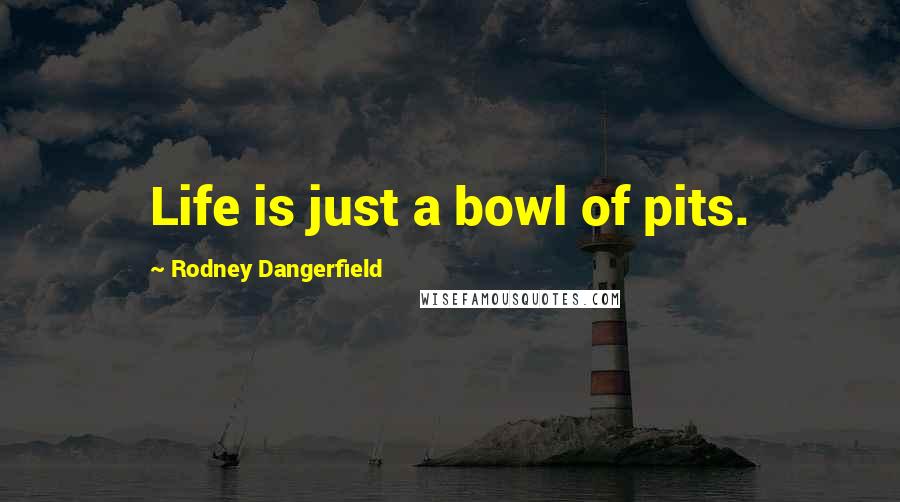 Rodney Dangerfield Quotes: Life is just a bowl of pits.