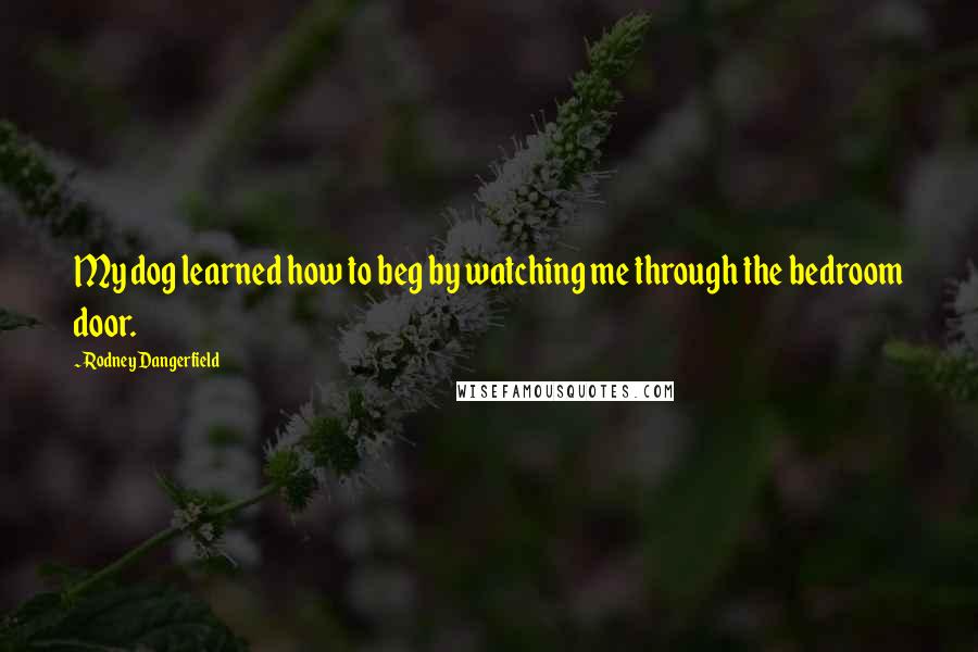 Rodney Dangerfield Quotes: My dog learned how to beg by watching me through the bedroom door.