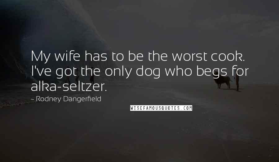 Rodney Dangerfield Quotes: My wife has to be the worst cook. I've got the only dog who begs for alka-seltzer.