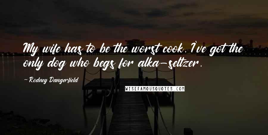 Rodney Dangerfield Quotes: My wife has to be the worst cook. I've got the only dog who begs for alka-seltzer.