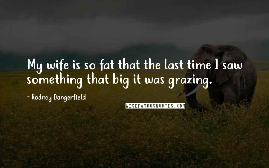 Rodney Dangerfield Quotes: My wife is so fat that the last time I saw something that big it was grazing.