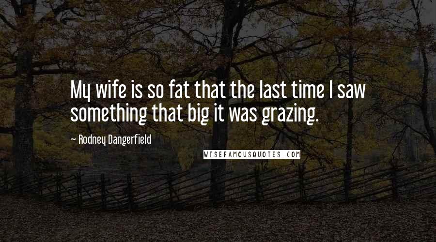 Rodney Dangerfield Quotes: My wife is so fat that the last time I saw something that big it was grazing.