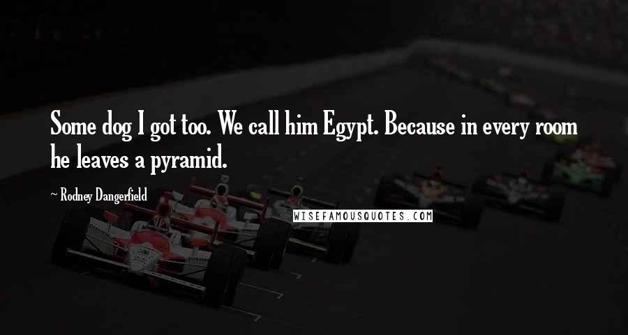 Rodney Dangerfield Quotes: Some dog I got too. We call him Egypt. Because in every room he leaves a pyramid.