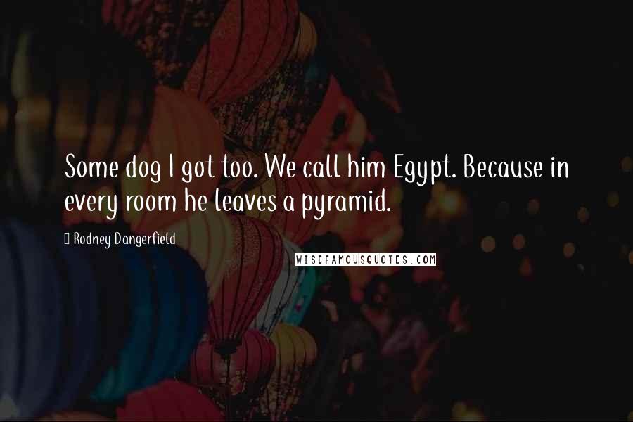 Rodney Dangerfield Quotes: Some dog I got too. We call him Egypt. Because in every room he leaves a pyramid.