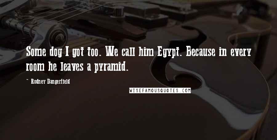 Rodney Dangerfield Quotes: Some dog I got too. We call him Egypt. Because in every room he leaves a pyramid.