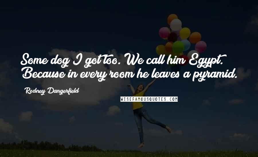 Rodney Dangerfield Quotes: Some dog I got too. We call him Egypt. Because in every room he leaves a pyramid.