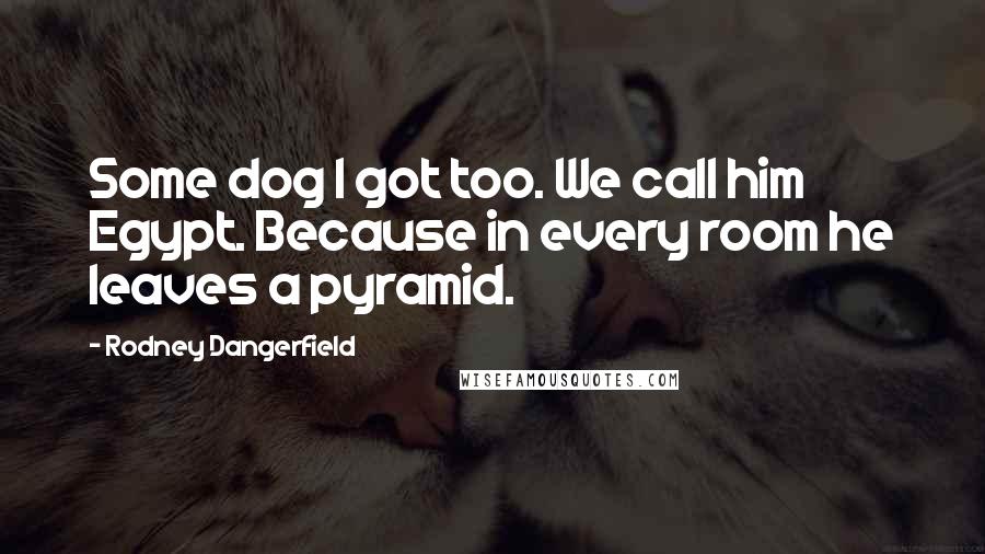 Rodney Dangerfield Quotes: Some dog I got too. We call him Egypt. Because in every room he leaves a pyramid.