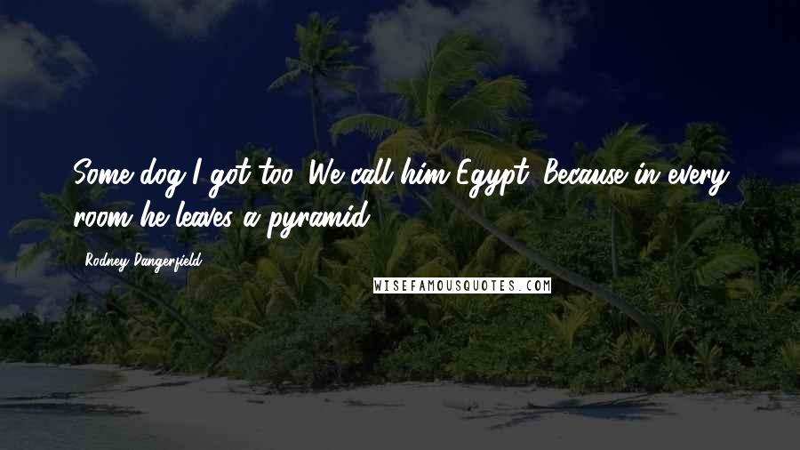 Rodney Dangerfield Quotes: Some dog I got too. We call him Egypt. Because in every room he leaves a pyramid.