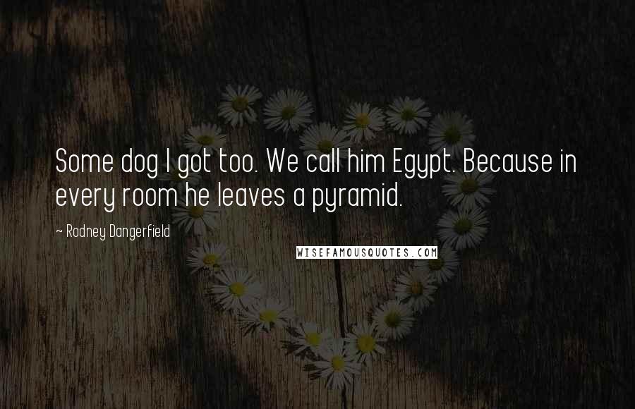 Rodney Dangerfield Quotes: Some dog I got too. We call him Egypt. Because in every room he leaves a pyramid.