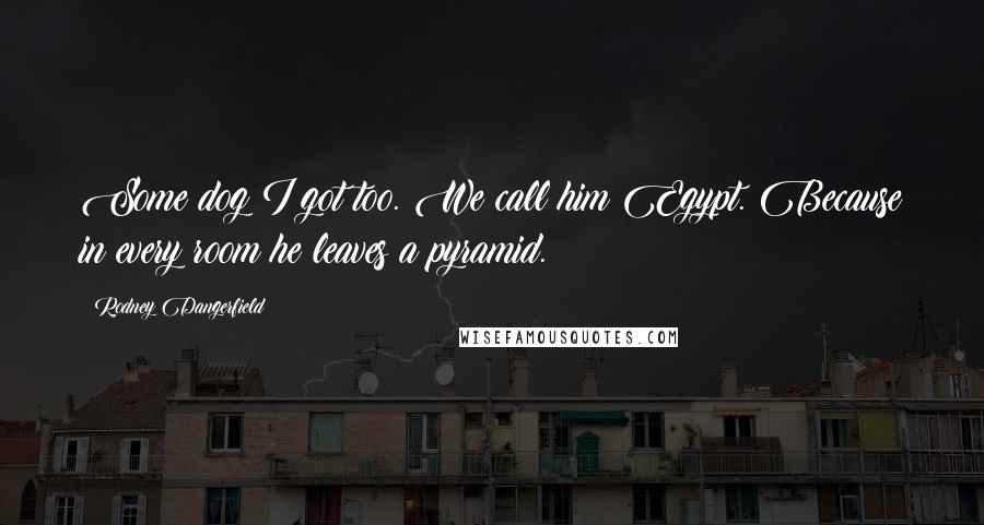 Rodney Dangerfield Quotes: Some dog I got too. We call him Egypt. Because in every room he leaves a pyramid.