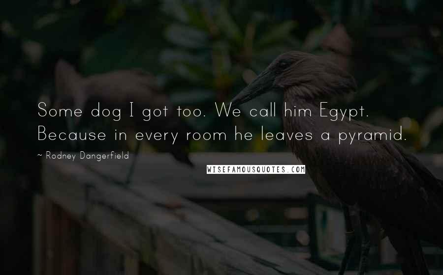 Rodney Dangerfield Quotes: Some dog I got too. We call him Egypt. Because in every room he leaves a pyramid.