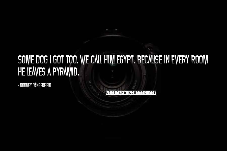 Rodney Dangerfield Quotes: Some dog I got too. We call him Egypt. Because in every room he leaves a pyramid.