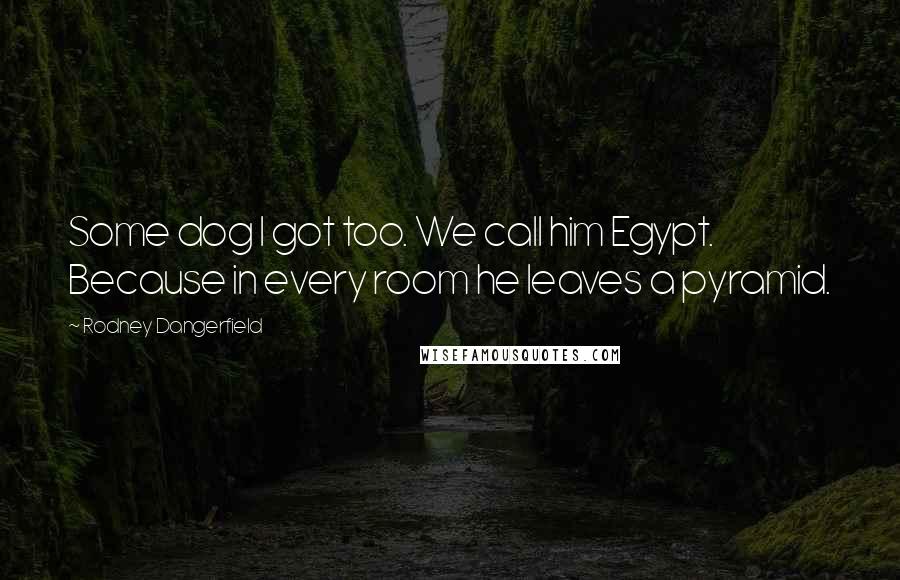 Rodney Dangerfield Quotes: Some dog I got too. We call him Egypt. Because in every room he leaves a pyramid.