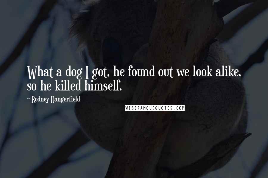 Rodney Dangerfield Quotes: What a dog I got, he found out we look alike, so he killed himself.