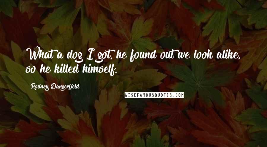 Rodney Dangerfield Quotes: What a dog I got, he found out we look alike, so he killed himself.