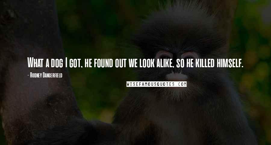 Rodney Dangerfield Quotes: What a dog I got, he found out we look alike, so he killed himself.