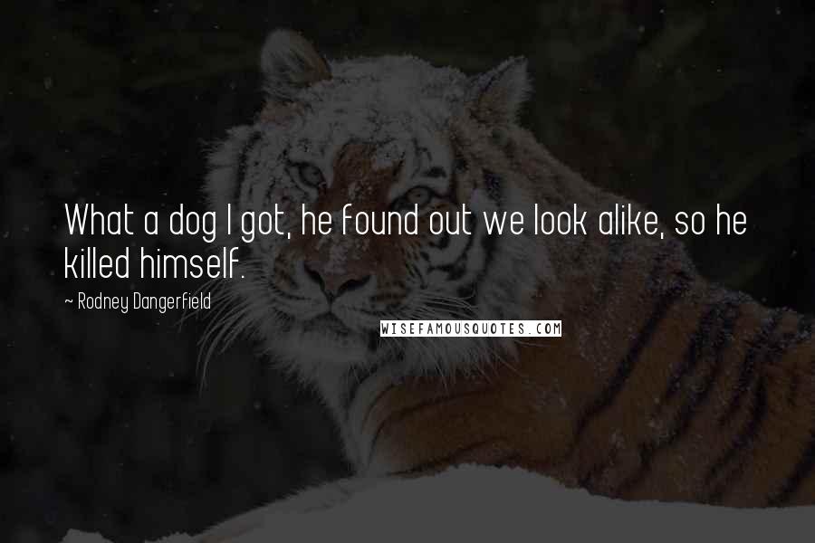 Rodney Dangerfield Quotes: What a dog I got, he found out we look alike, so he killed himself.