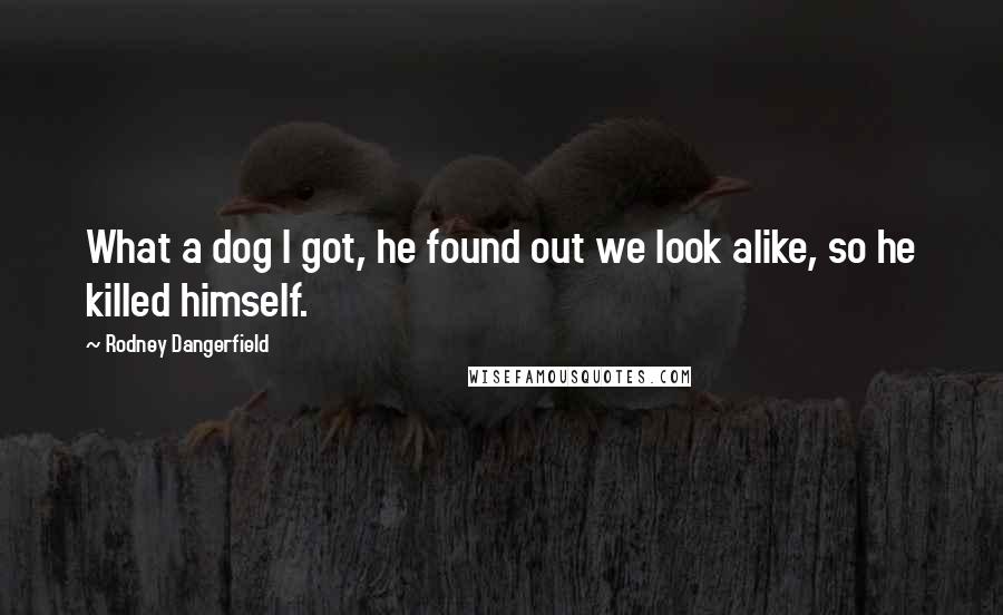 Rodney Dangerfield Quotes: What a dog I got, he found out we look alike, so he killed himself.