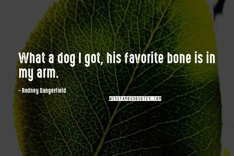 Rodney Dangerfield Quotes: What a dog I got, his favorite bone is in my arm.