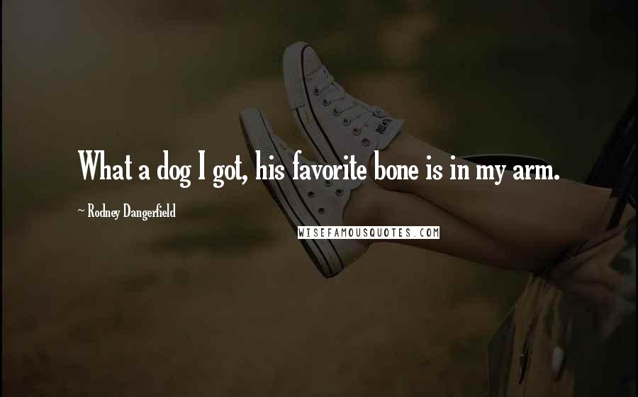 Rodney Dangerfield Quotes: What a dog I got, his favorite bone is in my arm.