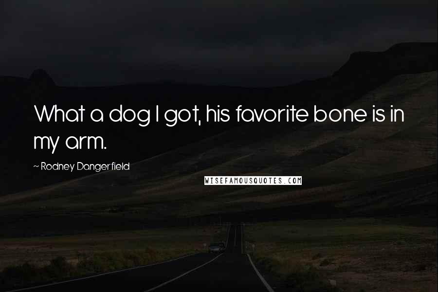 Rodney Dangerfield Quotes: What a dog I got, his favorite bone is in my arm.