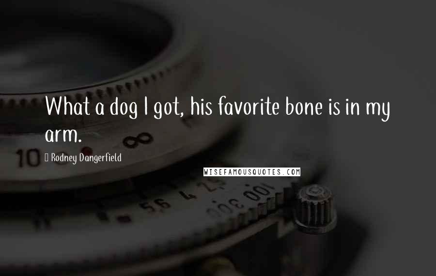 Rodney Dangerfield Quotes: What a dog I got, his favorite bone is in my arm.