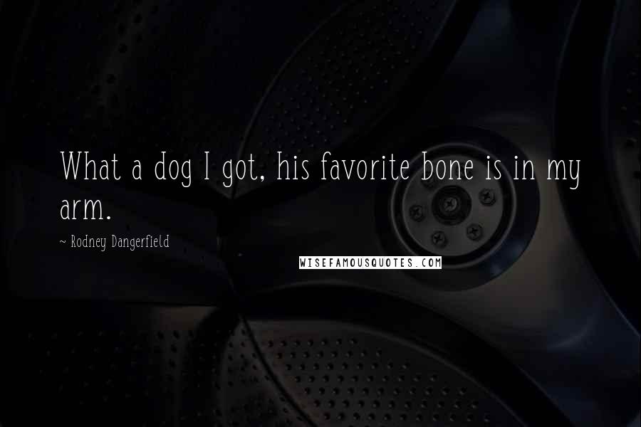 Rodney Dangerfield Quotes: What a dog I got, his favorite bone is in my arm.
