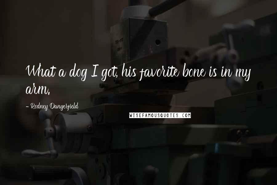 Rodney Dangerfield Quotes: What a dog I got, his favorite bone is in my arm.