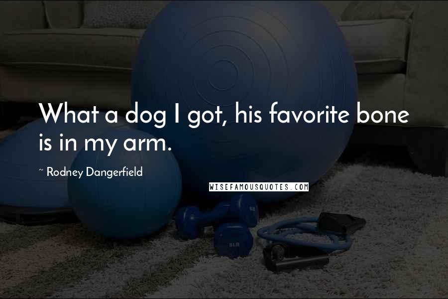 Rodney Dangerfield Quotes: What a dog I got, his favorite bone is in my arm.