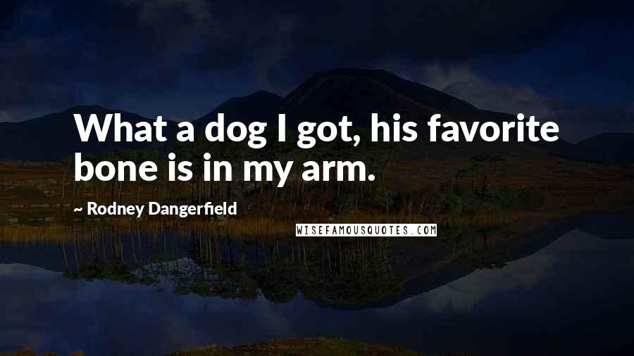 Rodney Dangerfield Quotes: What a dog I got, his favorite bone is in my arm.