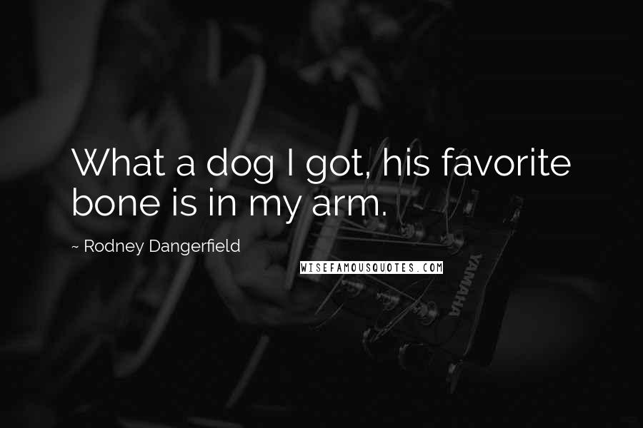 Rodney Dangerfield Quotes: What a dog I got, his favorite bone is in my arm.