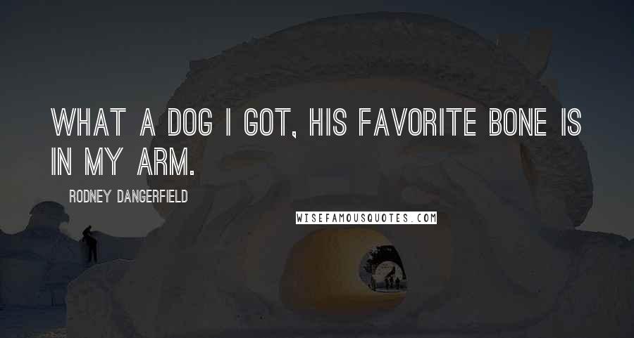 Rodney Dangerfield Quotes: What a dog I got, his favorite bone is in my arm.