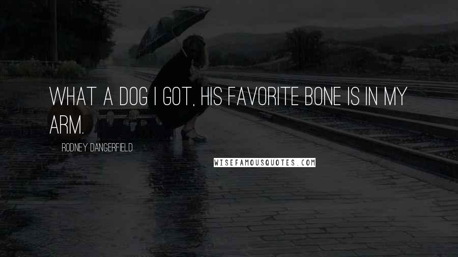 Rodney Dangerfield Quotes: What a dog I got, his favorite bone is in my arm.