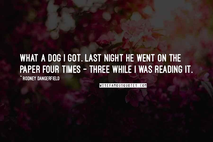 Rodney Dangerfield Quotes: What a dog I got. Last night he went on the paper four times - three while I was reading it.
