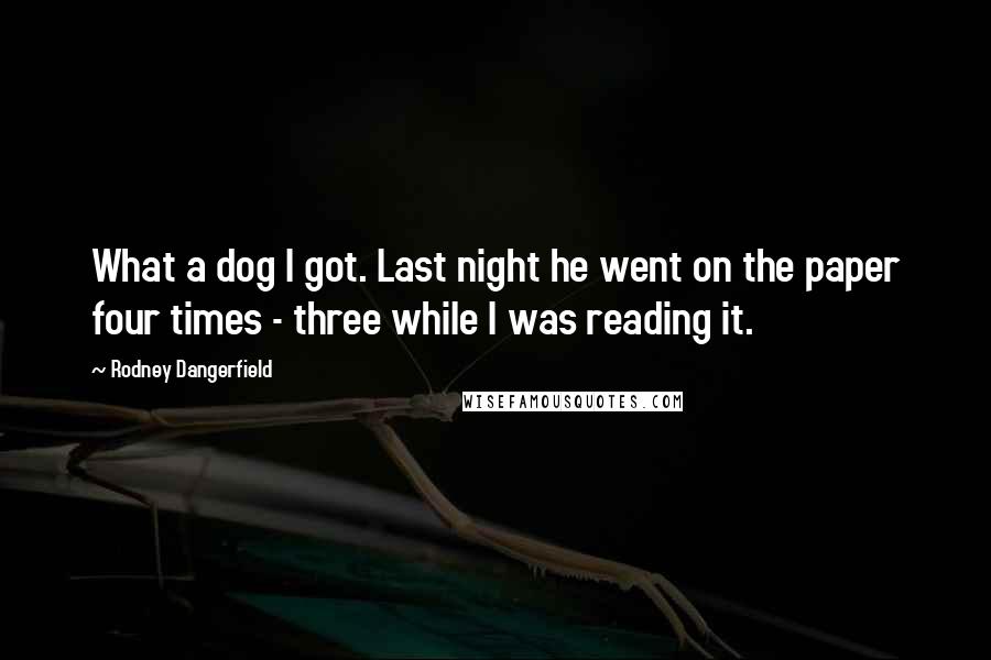 Rodney Dangerfield Quotes: What a dog I got. Last night he went on the paper four times - three while I was reading it.