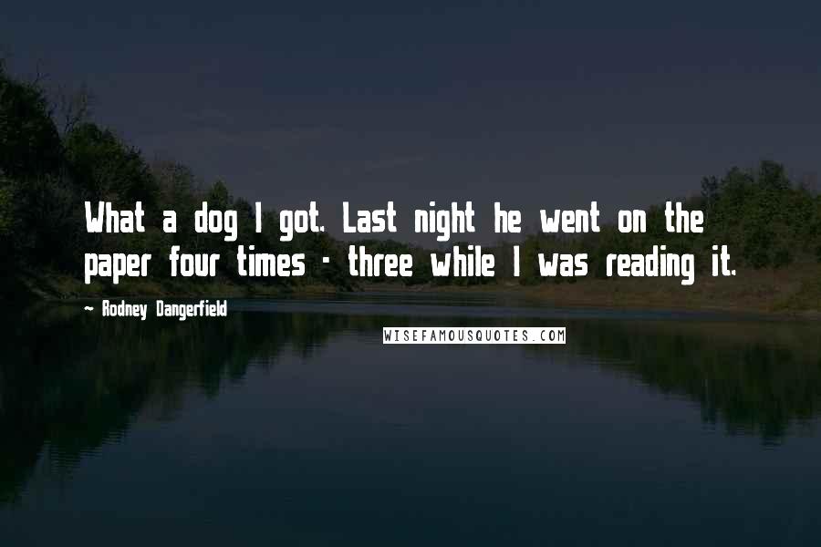 Rodney Dangerfield Quotes: What a dog I got. Last night he went on the paper four times - three while I was reading it.