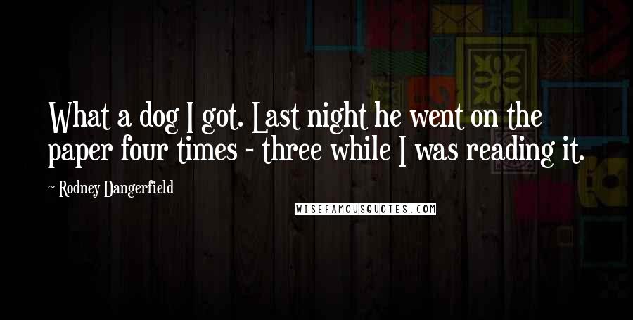 Rodney Dangerfield Quotes: What a dog I got. Last night he went on the paper four times - three while I was reading it.