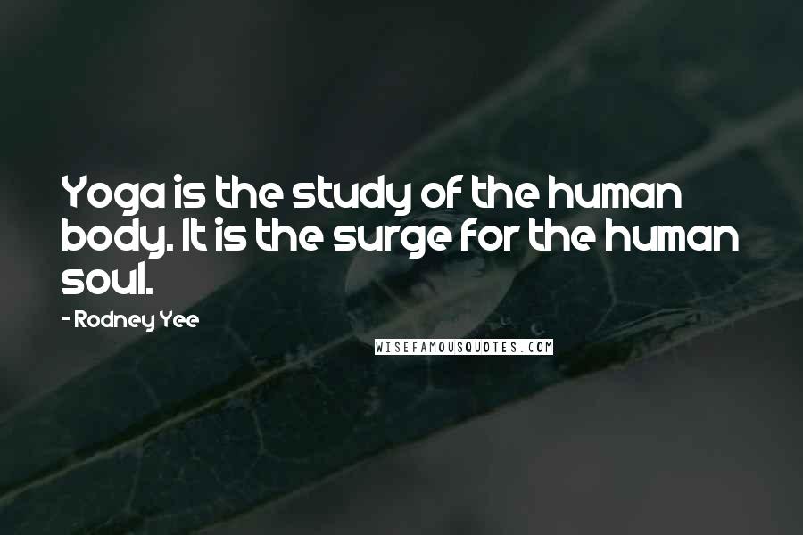 Rodney Yee Quotes: Yoga is the study of the human body. It is the surge for the human soul.