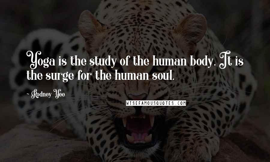 Rodney Yee Quotes: Yoga is the study of the human body. It is the surge for the human soul.