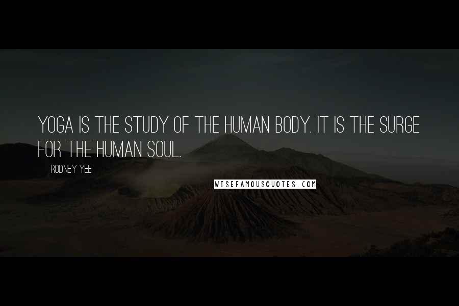 Rodney Yee Quotes: Yoga is the study of the human body. It is the surge for the human soul.