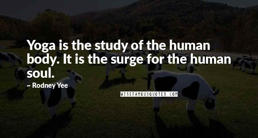 Rodney Yee Quotes: Yoga is the study of the human body. It is the surge for the human soul.