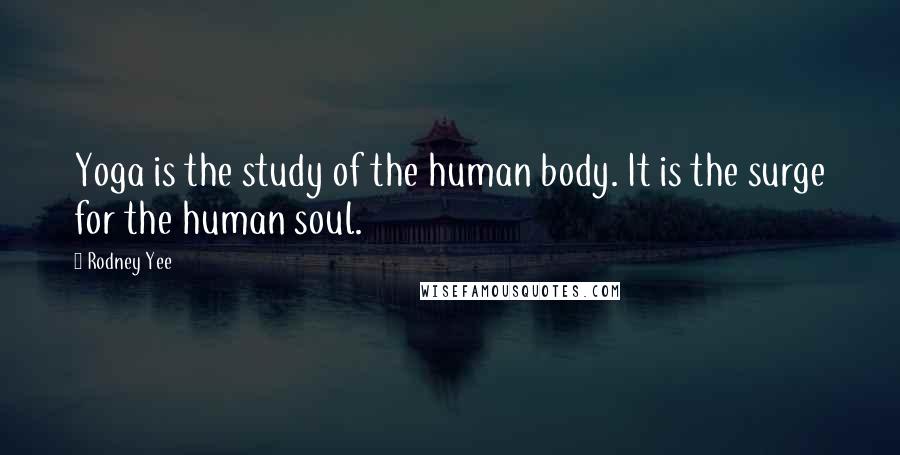 Rodney Yee Quotes: Yoga is the study of the human body. It is the surge for the human soul.