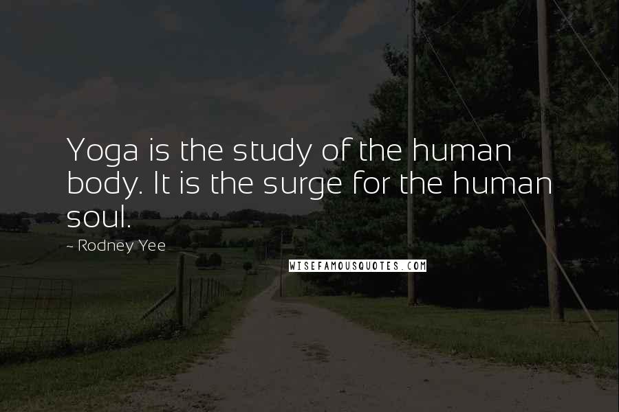 Rodney Yee Quotes: Yoga is the study of the human body. It is the surge for the human soul.